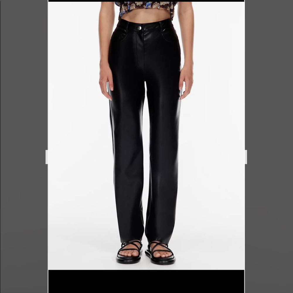 Aritzia (Wilfred) Melina Leather Pants